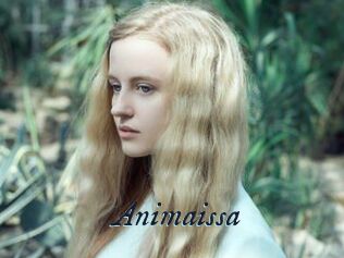 Animaissa