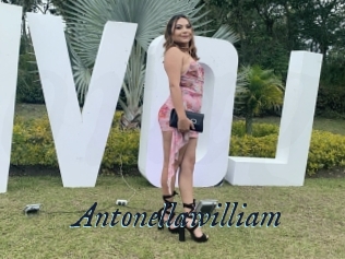 Antonellawilliam