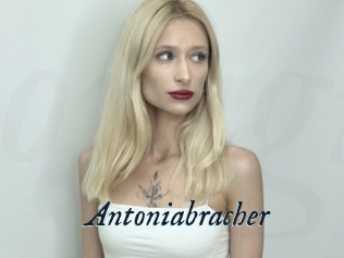 Antoniabracher