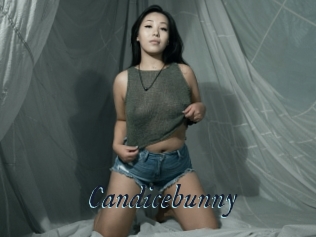 Candicebunny