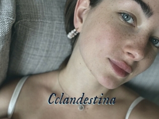 Cclandestina