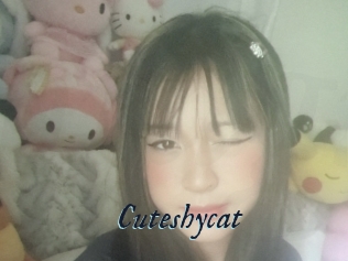 Cuteshycat