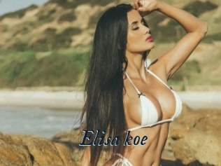 Elisa_koe