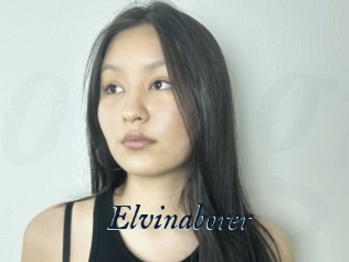 Elvinaborer