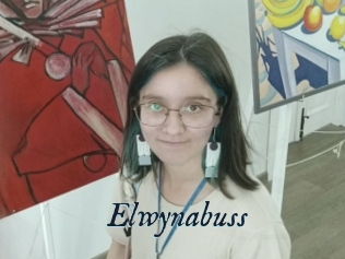 Elwynabuss