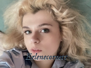 Erlenecornett