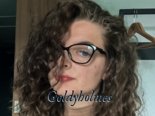 Goldyholmes