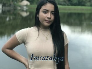 Imcataleya