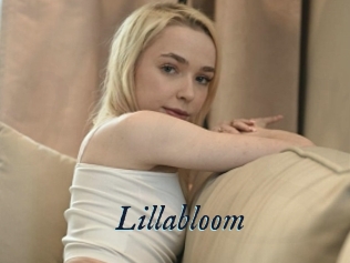 Lillabloom