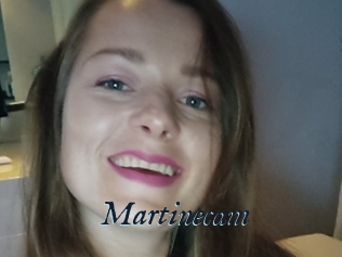 Martinecam