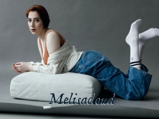 Melisacloud