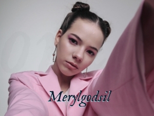 Merylgodsil