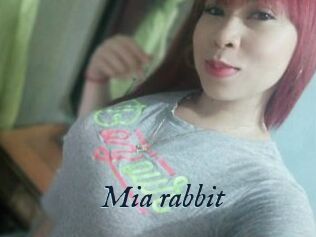 Mia_rabbit