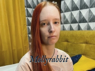 Mollyrabbit