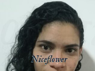 Nice_flower