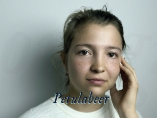 Petulabeer