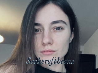 Seekeroftheone